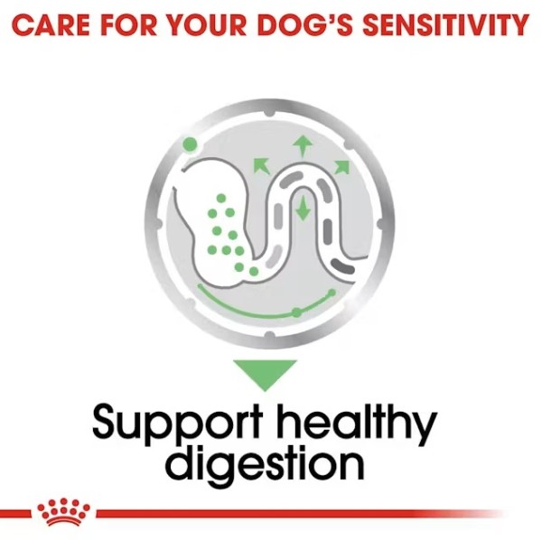 Royal Canin Dog Digestive Care Loaf - Пълноценен пастет за кучета с чувствителна храносмилателна система